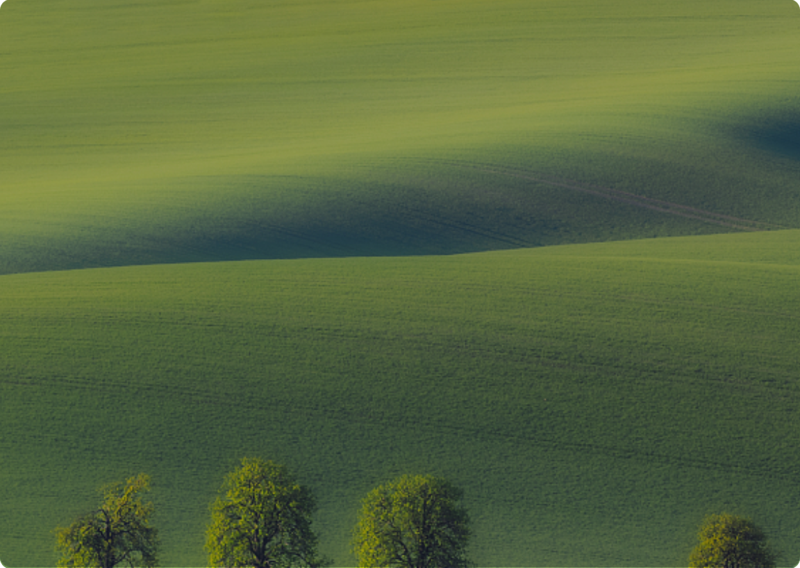 AG����-AG�ټ�������ٷ���վ